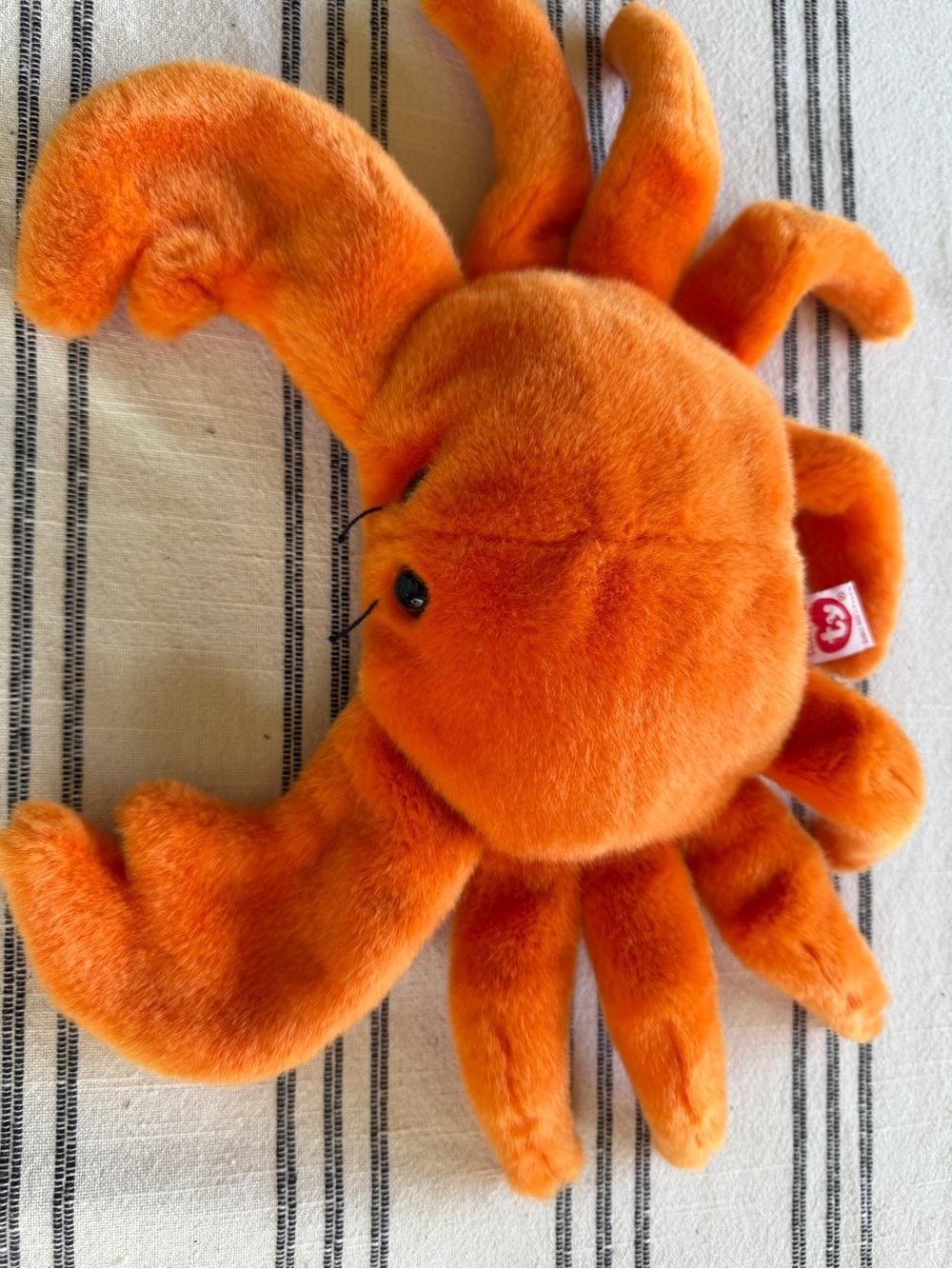 Ty 1999 Beanie Buddy named Claude the Crab.